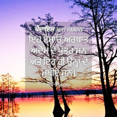 Picture 04 - ਪੈਦਾਇਸ਼ 36:19 PANIRV - ਇਹ ਏਸਾਓ ਅਰਥਾਤ ਅਦੋਮ - Bible Verse Picture