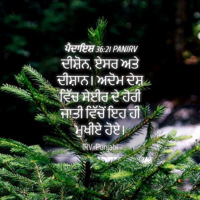 Picture 04 - ਪੈਦਾਇਸ਼ 36:21 PANIRV - ਦੀਸ਼ੋਨ, ਏਸਰ ਅਤੇ - Bible Verse Picture