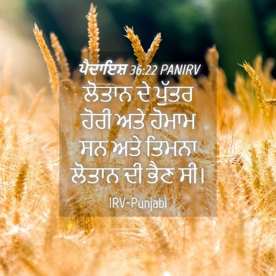 Picture 04 - ਪੈਦਾਇਸ਼ 36:22 PANIRV - ਲੋਤਾਨ ਦੇ ਪੁੱਤਰ - Bible Verse Picture
