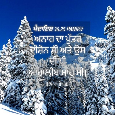 Picture 04 - ਪੈਦਾਇਸ਼ 36:25 PANIRV - ਅਨਾਹ ਦਾ ਪੁੱਤਰ - Bible Verse Picture