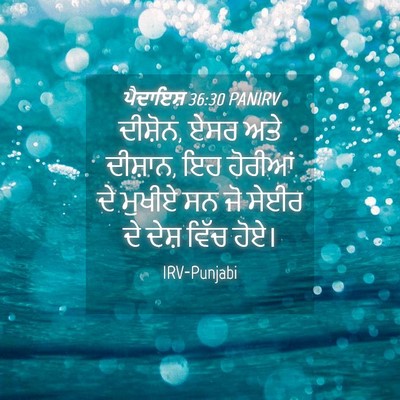 Picture 04 - ਪੈਦਾਇਸ਼ 36:30 PANIRV - ਦੀਸ਼ੋਨ, ਏਸਰ ਅਤੇ - Bible Verse Picture