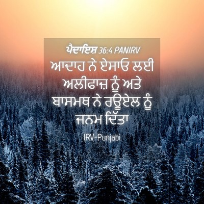 Picture 04 - ਪੈਦਾਇਸ਼ 36:4 PANIRV - ਆਦਾਹ ਨੇ ਏਸਾਓ ਲਈ - Bible Verse Picture