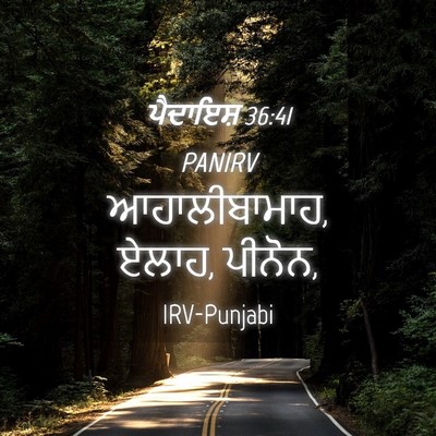 Picture 04 - ਪੈਦਾਇਸ਼ 36:41 PANIRV - ਆਹਾਲੀਬਾਮਾਹ, ਏਲਾਹ, - Bible Verse Picture