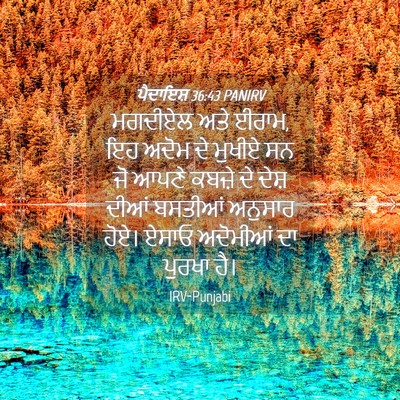 Picture 04 - ਪੈਦਾਇਸ਼ 36:43 PANIRV - ਮਗਦੀਏਲ ਅਤੇ ਈਰਾਮ, ਇਹ - Bible Verse Picture