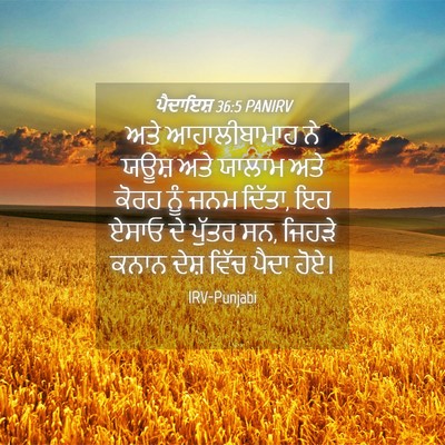 Picture 04 - ਪੈਦਾਇਸ਼ 36:5 PANIRV - ਅਤੇ ਆਹਾਲੀਬਾਮਾਹ ਨੇ - Bible Verse Picture