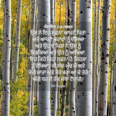 Picture 04 - ਪੈਦਾਇਸ਼ 37:10 PANIRV - ਉਸ ਨੇ ਇਹ ਸੁਫ਼ਨਾ - Bible Verse Picture