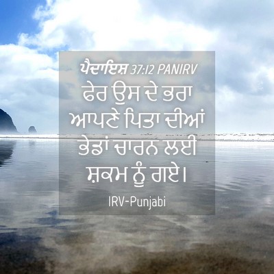 Picture 04 - ਪੈਦਾਇਸ਼ 37:12 PANIRV - ਫੇਰ ਉਸ ਦੇ ਭਰਾ ਆਪਣੇ - Bible Verse Picture