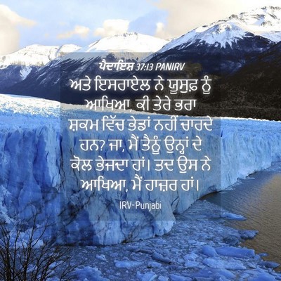 Picture 04 - ਪੈਦਾਇਸ਼ 37:13 PANIRV - ਅਤੇ ਇਸਰਾਏਲ ਨੇ - Bible Verse Picture