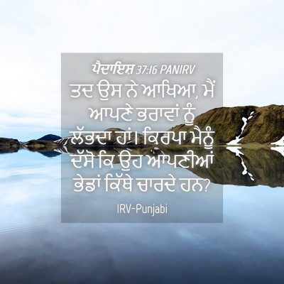 Picture 04 - ਪੈਦਾਇਸ਼ 37:16 PANIRV - ਤਦ ਉਸ ਨੇ ਆਖਿਆ, ਮੈਂ - Bible Verse Picture