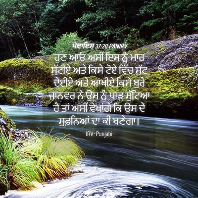 Picture 04 - ਪੈਦਾਇਸ਼ 37:20 PANIRV - ਹੁਣ ਆਓ ਅਸੀਂ ਇਸ ਨੂੰ - Bible Verse Picture
