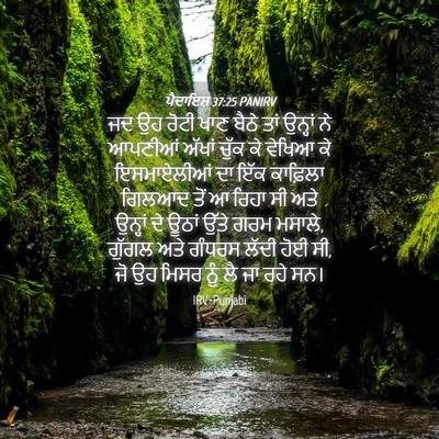 Picture 04 - ਪੈਦਾਇਸ਼ 37:25 PANIRV - ਜਦ ਉਹ ਰੋਟੀ ਖਾਣ ਬੈਠੇ - Bible Verse Picture