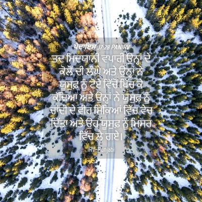Picture 04 - ਪੈਦਾਇਸ਼ 37:28 PANIRV - ਤਦ ਮਿਦਯਾਨੀ ਵਪਾਰੀ - Bible Verse Picture