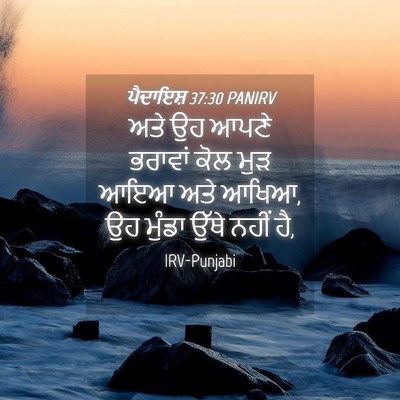 Picture 04 - ਪੈਦਾਇਸ਼ 37:30 PANIRV - ਅਤੇ ਉਹ ਆਪਣੇ ਭਰਾਵਾਂ - Bible Verse Picture