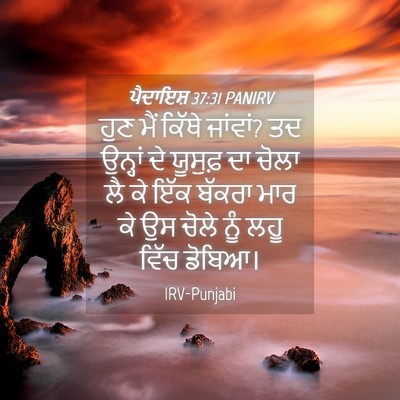 Picture 04 - ਪੈਦਾਇਸ਼ 37:31 PANIRV - ਹੁਣ ਮੈਂ ਕਿੱਥੇ - Bible Verse Picture
