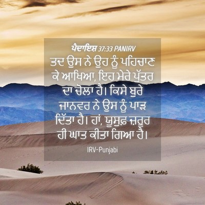 Picture 04 - ਪੈਦਾਇਸ਼ 37:33 PANIRV - ਤਦ ਉਸ ਨੇ ਉਹ ਨੂੰ - Bible Verse Picture