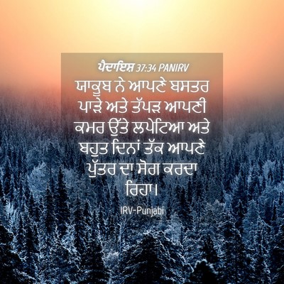 Picture 04 - ਪੈਦਾਇਸ਼ 37:34 PANIRV - ਯਾਕੂਬ ਨੇ ਆਪਣੇ ਬਸਤਰ - Bible Verse Picture