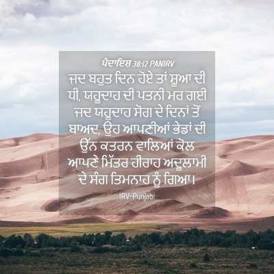 Picture 04 - ਪੈਦਾਇਸ਼ 38:12 PANIRV - ਜਦ ਬਹੁਤ ਦਿਨ ਹੋਏ ਤਾਂ - Bible Verse Picture