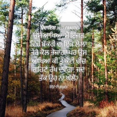 Picture 04 - ਪੈਦਾਇਸ਼ 38:17 PANIRV - ਉਸ ਆਖਿਆ, ਮੈਂ ਇੱਜੜ - Bible Verse Picture
