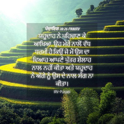 Picture 04 - ਪੈਦਾਇਸ਼ 38:26 PANIRV - ਯਹੂਦਾਹ ਨੇ ਪਹਿਚਾਣ - Bible Verse Picture