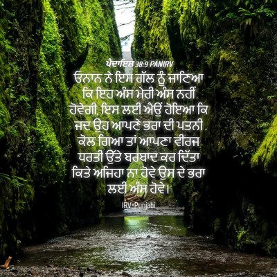 Picture 04 - ਪੈਦਾਇਸ਼ 38:9 PANIRV - ਓਨਾਨ ਨੇ ਇਸ ਗੱਲ ਨੂੰ - Bible Verse Picture