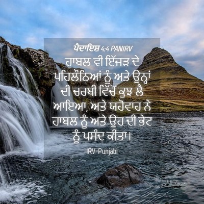 Picture 04 - ਪੈਦਾਇਸ਼ 4:4 PANIRV - ਹਾਬਲ ਵੀ ਇੱਜੜ ਦੇ - Bible Verse Picture
