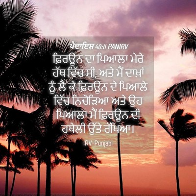 Picture 04 - ਪੈਦਾਇਸ਼ 40:11 PANIRV - ਫ਼ਿਰਊਨ ਦਾ ਪਿਆਲਾ - Bible Verse Picture