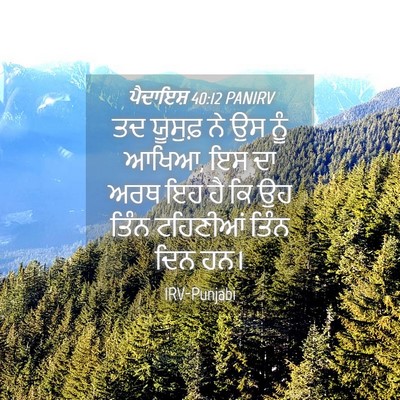 Picture 04 - ਪੈਦਾਇਸ਼ 40:12 PANIRV - ਤਦ ਯੂਸੁਫ਼ ਨੇ ਉਸ ਨੂੰ - Bible Verse Picture