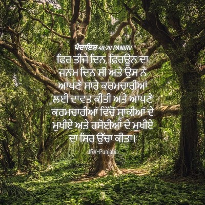 Picture 04 - ਪੈਦਾਇਸ਼ 40:20 PANIRV - ਫਿਰ ਤੀਜੇ ਦਿਨ, - Bible Verse Picture