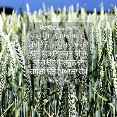 Picture 04 - ਪੈਦਾਇਸ਼ 40:21 PANIRV - ਪਰ ਉਸ ਨੇ ਸਾਕੀਆਂ ਦੇ - Bible Verse Picture