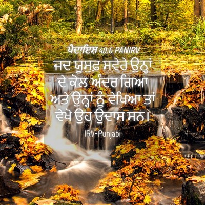 Picture 04 - ਪੈਦਾਇਸ਼ 40:6 PANIRV - ਜਦ ਯੂਸੁਫ਼ ਸਵੇਰੇ - Bible Verse Picture