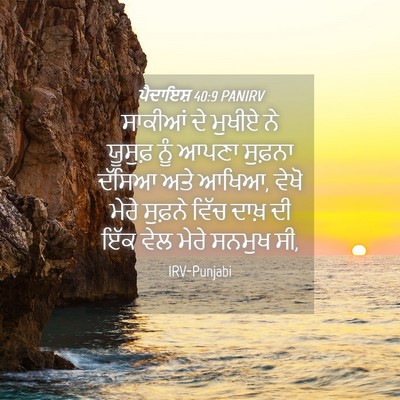 Picture 04 - ਪੈਦਾਇਸ਼ 40:9 PANIRV - ਸਾਕੀਆਂ ਦੇ ਮੁਖੀਏ ਨੇ - Bible Verse Picture