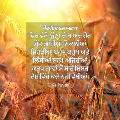 Picture 04 - ਪੈਦਾਇਸ਼ 41:19 PANIRV - ਫਿਰ ਵੇਖੋ, ਉਨ੍ਹਾਂ ਦੇ - Bible Verse Picture