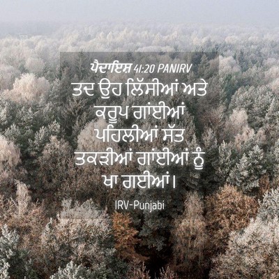 Picture 04 - ਪੈਦਾਇਸ਼ 41:20 PANIRV - ਤਦ ਉਹ ਲਿੱਸੀਆਂ ਅਤੇ - Bible Verse Picture
