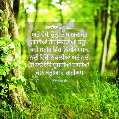 Picture 04 - ਪੈਦਾਇਸ਼ 41:3 PANIRV - ਅਤੇ ਵੇਖੋ, ਉਨ੍ਹਾਂ - Bible Verse Picture