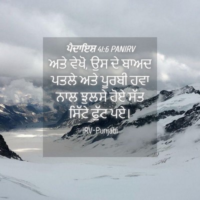 Picture 04 - ਪੈਦਾਇਸ਼ 41:6 PANIRV - ਅਤੇ ਵੇਖੋ, ਉਸ ਦੇ - Bible Verse Picture