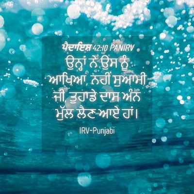 Picture 04 - ਪੈਦਾਇਸ਼ 42:10 PANIRV - ਉਨ੍ਹਾਂ ਨੇ ਉਸ ਨੂੰ - Bible Verse Picture