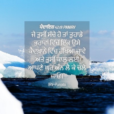 Picture 04 - ਪੈਦਾਇਸ਼ 42:19 PANIRV - ਜੇ ਤੁਸੀਂ ਸੱਚੇ ਹੋ - Bible Verse Picture