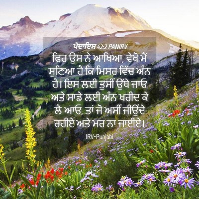 Picture 04 - ਪੈਦਾਇਸ਼ 42:2 PANIRV - ਫਿਰ ਉਸ ਨੇ ਆਖਿਆ, - Bible Verse Picture
