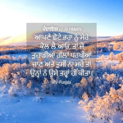 Picture 04 - ਪੈਦਾਇਸ਼ 42:20 PANIRV - ਆਪਣੇ ਛੋਟੇ ਭਰਾ ਨੂੰ - Bible Verse Picture