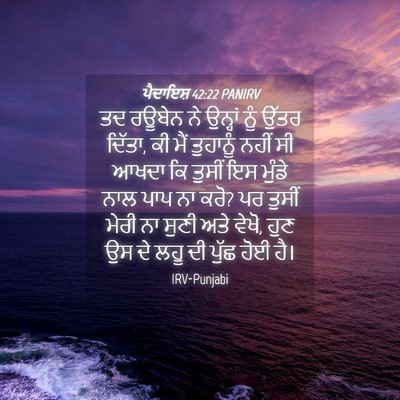 Picture 04 - ਪੈਦਾਇਸ਼ 42:22 PANIRV - ਤਦ ਰਊਬੇਨ ਨੇ ਉਨ੍ਹਾਂ - Bible Verse Picture