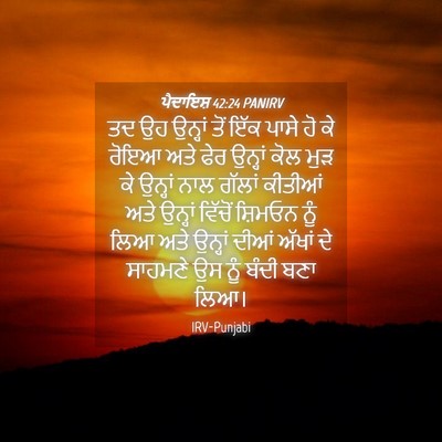 Picture 04 - ਪੈਦਾਇਸ਼ 42:24 PANIRV - ਤਦ ਉਹ ਉਨ੍ਹਾਂ ਤੋਂ - Bible Verse Picture