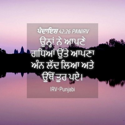 Picture 04 - ਪੈਦਾਇਸ਼ 42:26 PANIRV - ਉਨ੍ਹਾਂ ਨੇ ਆਪਣੇ - Bible Verse Picture