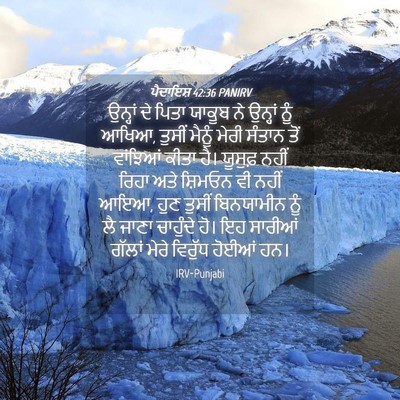 Picture 04 - ਪੈਦਾਇਸ਼ 42:36 PANIRV - ਉਨ੍ਹਾਂ ਦੇ ਪਿਤਾ - Bible Verse Picture