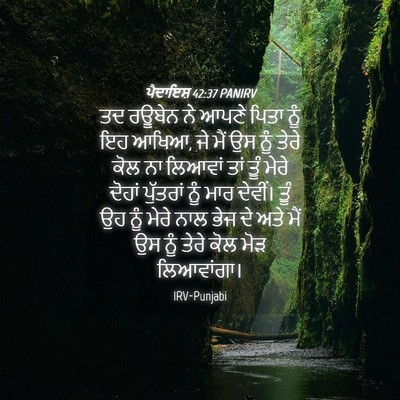 Picture 04 - ਪੈਦਾਇਸ਼ 42:37 PANIRV - ਤਦ ਰਊਬੇਨ ਨੇ ਆਪਣੇ - Bible Verse Picture