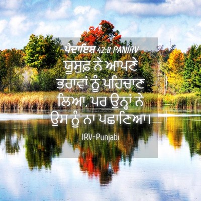 Picture 04 - ਪੈਦਾਇਸ਼ 42:8 PANIRV - ਯੂਸੁਫ਼ ਨੇ ਆਪਣੇ - Bible Verse Picture