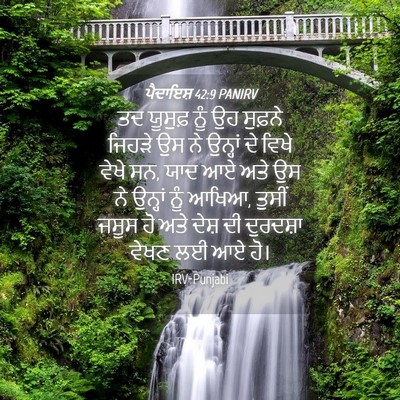 Picture 04 - ਪੈਦਾਇਸ਼ 42:9 PANIRV - ਤਦ ਯੂਸੁਫ਼ ਨੂੰ ਉਹ - Bible Verse Picture