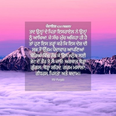 Picture 04 - ਪੈਦਾਇਸ਼ 43:11 PANIRV - ਤਦ ਉਨ੍ਹਾਂ ਦੇ ਪਿਤਾ - Bible Verse Picture