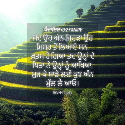Picture 04 - ਪੈਦਾਇਸ਼ 43:2 PANIRV - ਜਦ ਉਹ ਅੰਨ ਜਿਹੜਾ ਉਹ - Bible Verse Picture