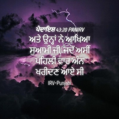 Picture 04 - ਪੈਦਾਇਸ਼ 43:20 PANIRV - ਅਤੇ ਉਨ੍ਹਾਂ ਨੇ ਆਖਿਆ - Bible Verse Picture