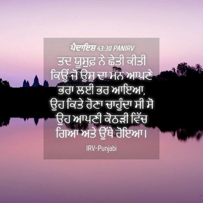 Picture 04 - ਪੈਦਾਇਸ਼ 43:30 PANIRV - ਤਦ ਯੂਸੁਫ਼ ਨੇ ਛੇਤੀ - Bible Verse Picture